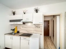 Prodej bytu 1+kk, Praha, Štúrova, 20 m2