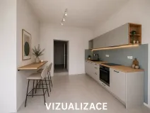 Prodej bytu 1+kk, Brno, Cejl, 60 m2