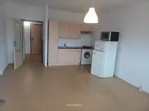 Pronájem bytu 1+kk, Frýdlant nad Ostravicí, Harcovská, 34 m2