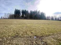 Prodej pole, Černá v Pošumaví - Bližná, 3624 m2