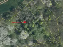 Prodej lesa, Mšeno, 1050 m2