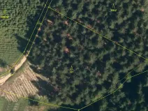 Prodej lesa, Lhota u Vsetína, 7226 m2