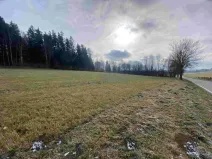 Dražba louky, Černá v Pošumaví, 3624 m2