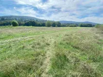 Dražba louky, Všenory, 672 m2