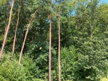 Prodej bytu 3+kk, Ostrava, Binarova, 89 m2