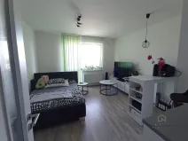 Pronájem bytu 1+kk, Plzeň - Bolevec, Studentská, 28 m2