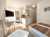 Pronájem bytu 1+kk, Brno, Eleonory Voračické, 25 m2