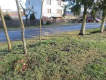 Prodej pozemku pro bydlení, Kluky, 1186 m2