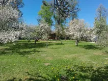 Prodej pozemku pro bydlení, Protivín, 1134 m2