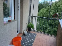 Pronájem bytu 3+1, Hradec Králové, Čajkovského, 83 m2