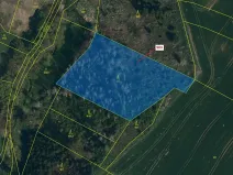 Dražba lesa, Puklice, 4900 m2