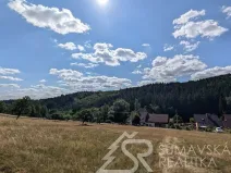 Prodej pozemku, Petrovice u Sušice - Pařezí, 4773 m2