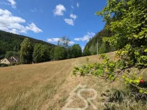 Prodej pozemku, Petrovice u Sušice - Pařezí, 4773 m2