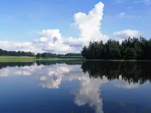 Prodej pole, Stříbřec, 4819 m2