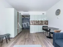 Pronájem bytu 1+kk, Praha - Karlín, Sokolovská, 28 m2