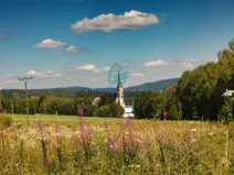 Prodej pozemku, Přední Výtoň, 1161 m2