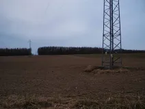 Dražba pole, Stonava, 1501 m2
