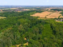 Prodej lesa, Jeviněves, 2859 m2