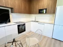 Pronájem bytu 1+kk, Brno - Štýřice, Sovinec, 30 m2
