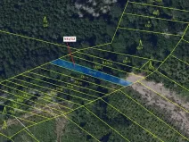 Dražba lesa, Havlíčkův Brod, 281 m2