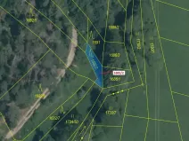 Dražba lesa, Trhový Štěpánov, 89 m2