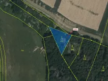 Dražba lesa, Chotěbudice, 529 m2
