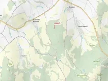Dražba lesa, Slavkov, 1084 m2