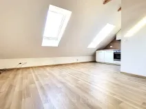 Pronájem bytu 2+kk, Syrovice, 48 m2