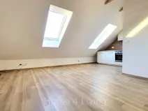 Pronájem bytu 2+kk, Syrovice, 48 m2