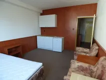 Pronájem bytu 1+kk, Brno, Heršpická, 23 m2