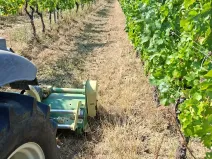 Prodej sadu/vinice, Velké Němčice, 90000 m2