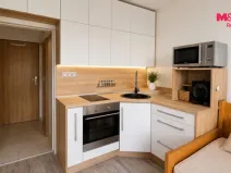 Prodej bytu 1+kk, Ostrava - Hrabůvka, Krakovská, 20 m2