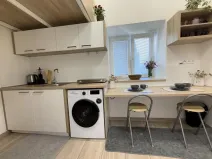 Prodej bytu 1+kk, Opava - Předměstí, Alšova, 15 m2
