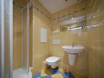 Pronájem bytu 1+kk, Jindřichův Hradec, sídliště U Nádraží, 20 m2