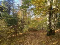 Prodej pole, Železný Brod - Střevelná, 2828 m2