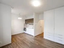Pronájem bytu 1+kk, Praha - Vinohrady, Lucemburská, 30 m2