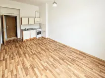 Pronájem bytu 2+kk, Praha - Žižkov, Sudoměřská, 45 m2