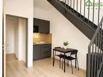 Pronájem bytu 2+kk, Brno, Koliště, 49 m2