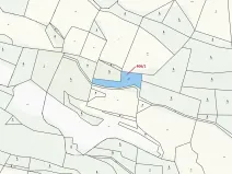 Dražba louky, Velký Bor, 1762 m2