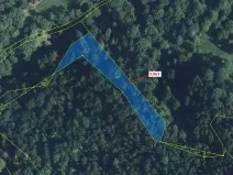 Dražba lesa, Malé Březno, 2232 m2
