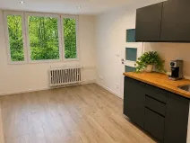 Prodej bytu 2+kk, Praha - Krč, Hurbanova, 40 m2