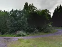 Prodej podílu lesa, Zlatá Olešnice, 574 m2