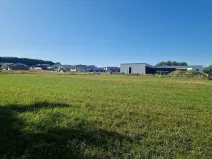 Prodej komerčního pozemku, Velká Polom, Okružní, 6038 m2