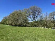 Prodej pozemku pro bydlení, Blatná - Čekanice, 3556 m2