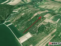 Prodej sadu/vinice, Velké Němčice, 3259 m2