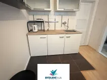 Prodej bytu 1+1, Teplice, Fügnerova, 43 m2
