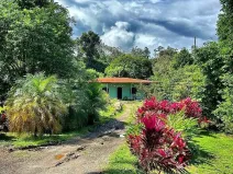 Prodej rodinného domu, Sarapiquí, Kostarika, 200 m2