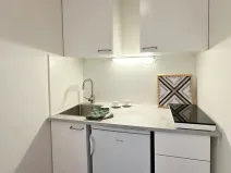 Pronájem bytu 1+kk, Brno, Cejl, 24 m2