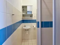 Pronájem bytu 1+kk, Brno, Cejl, 24 m2