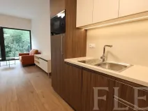 Pronájem bytu 1+kk, Praha - Žižkov, Hartigova, 48 m2